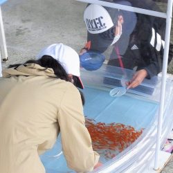 平谷湖フィッシングスポット 釣果