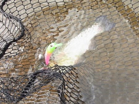 平谷湖フィッシングスポット 釣果