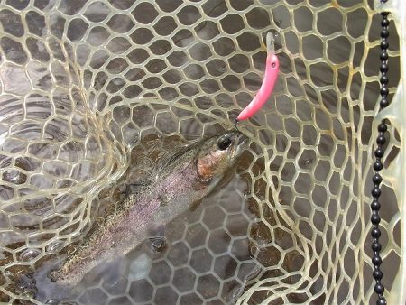 平谷湖フィッシングスポット 釣果