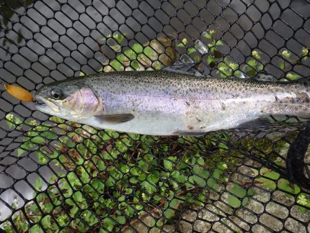 平谷湖フィッシングスポット 釣果