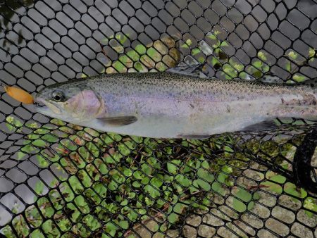 平谷湖フィッシングスポット 釣果