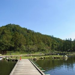 平谷湖フィッシングスポット 釣果
