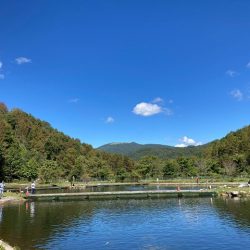 平谷湖フィッシングスポット 釣果