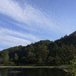 平谷湖フィッシングスポット 釣果