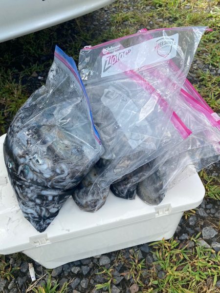 あみや渡船 釣果