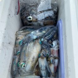 あみや渡船 釣果