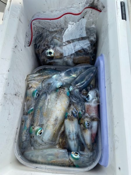 あみや渡船 釣果