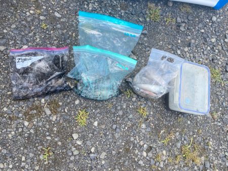 あみや渡船 釣果