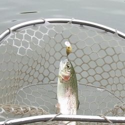 平谷湖フィッシングスポット 釣果