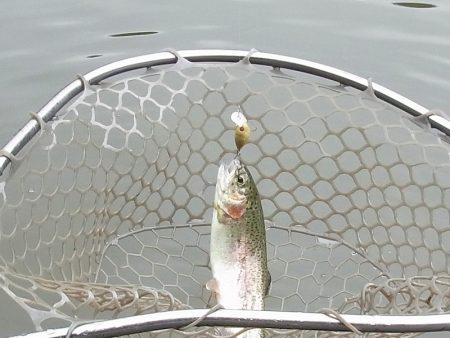 平谷湖フィッシングスポット 釣果