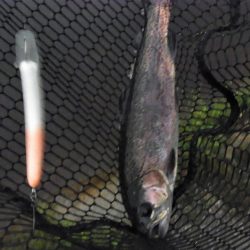 平谷湖フィッシングスポット 釣果