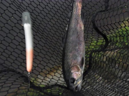 平谷湖フィッシングスポット 釣果