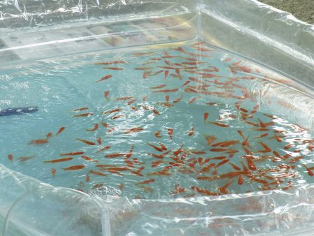 平谷湖フィッシングスポット 釣果