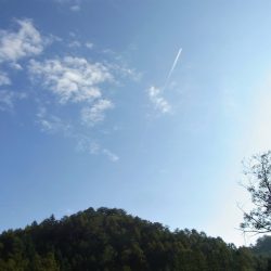 平谷湖フィッシングスポット 釣果