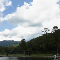 平谷湖フィッシングスポット 釣果