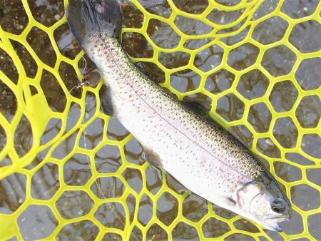 平谷湖フィッシングスポット 釣果