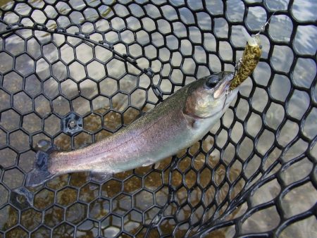 平谷湖フィッシングスポット 釣果