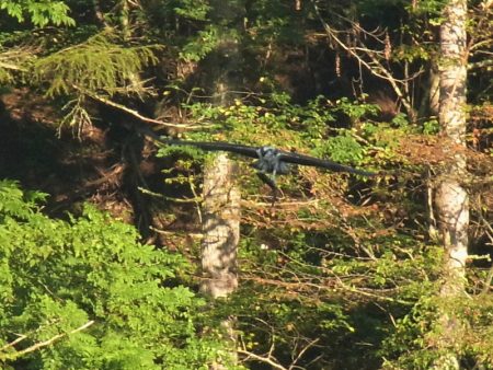 平谷湖フィッシングスポット 釣果