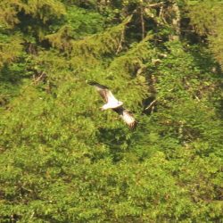 平谷湖フィッシングスポット 釣果