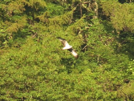 平谷湖フィッシングスポット 釣果