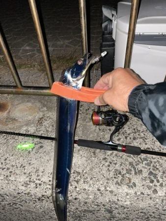 久しぶりの淡路島タチウオ