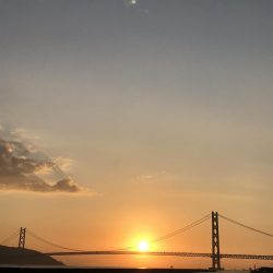 サビキしか勝たん