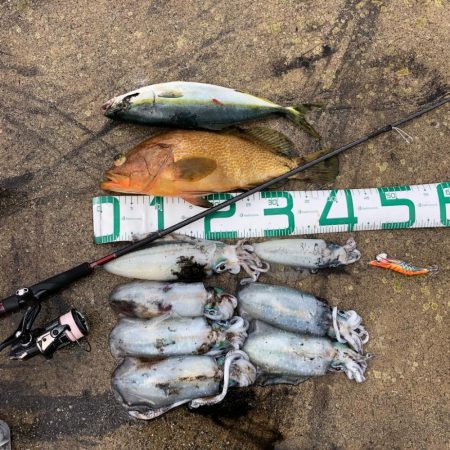 2021 佐渡ヶ島エギング 30回目