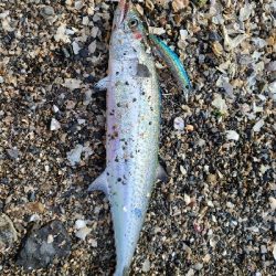 いつもと同じように