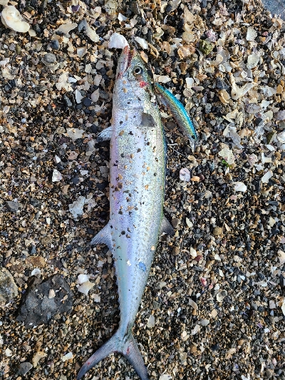 いつもと同じように