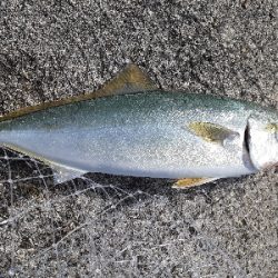 爆風の中なんとか