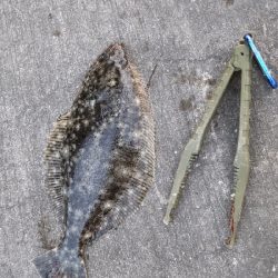 ちょー久しぶり！