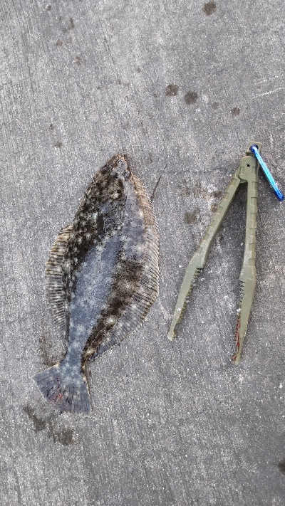 ちょー久しぶり！