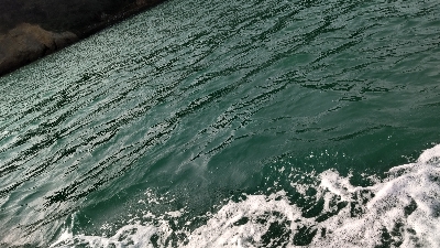 ボートエギング