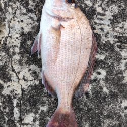 湯浅から南をランガン