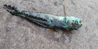 泉南行ってきました