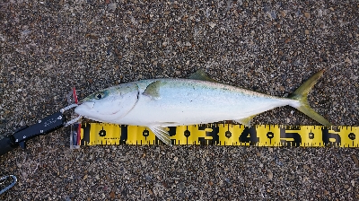 2021第1回播磨遠征