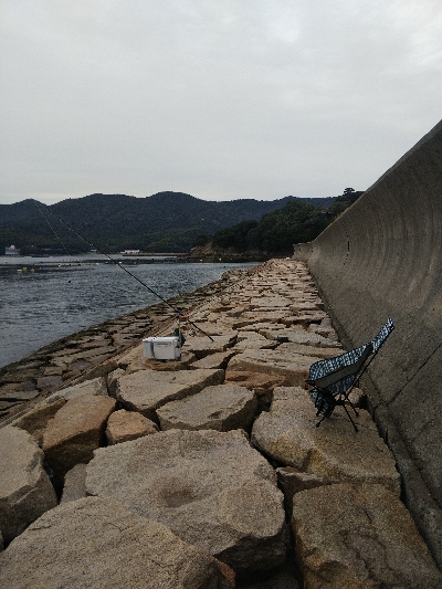 室津のキス釣り