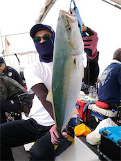 激シブジギング