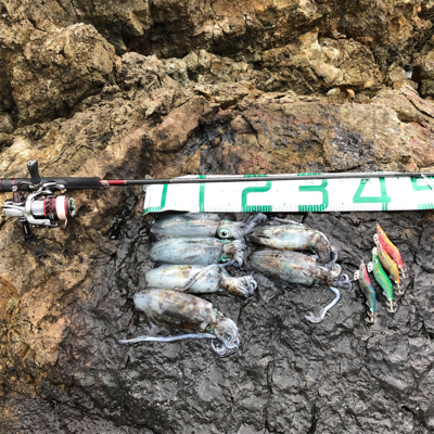 2021 佐渡ヶ島エギング 17回目