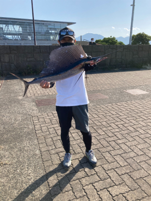 バショウカジキ