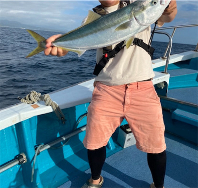 南紀落とし込み！