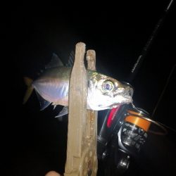 アジング練習320