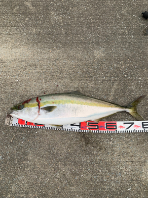 ラインブレイク直後！