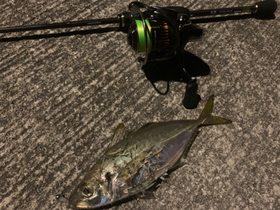 デカアジングとチーバス