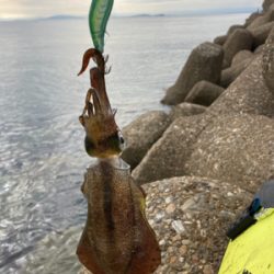 短時間でもアオリGET＼(^o^)／