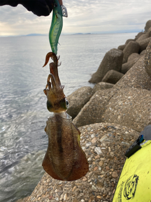 短時間でもアオリGET＼(^o^)／