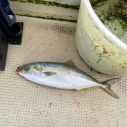 明石ジギング釣行