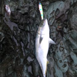 朝一水面ドカーン！！！