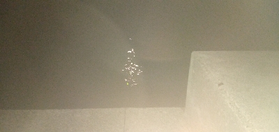 サビキとアナゴ