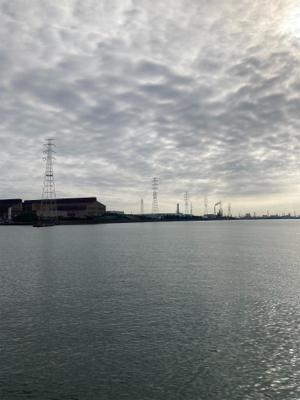 今年、初のメジロ?ハマチ…